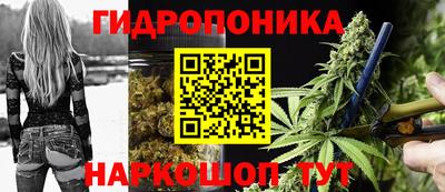 молекула духа Новокубанск