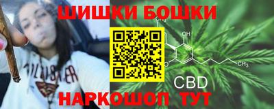 ешки Новозыбков