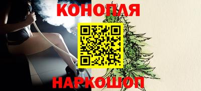 ешки Новозыбков
