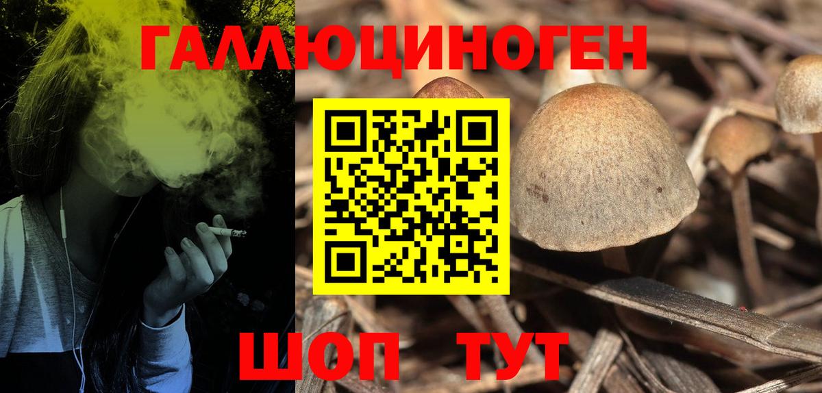 Псилоцибиновые грибы мицелий Усолье-Сибирское
