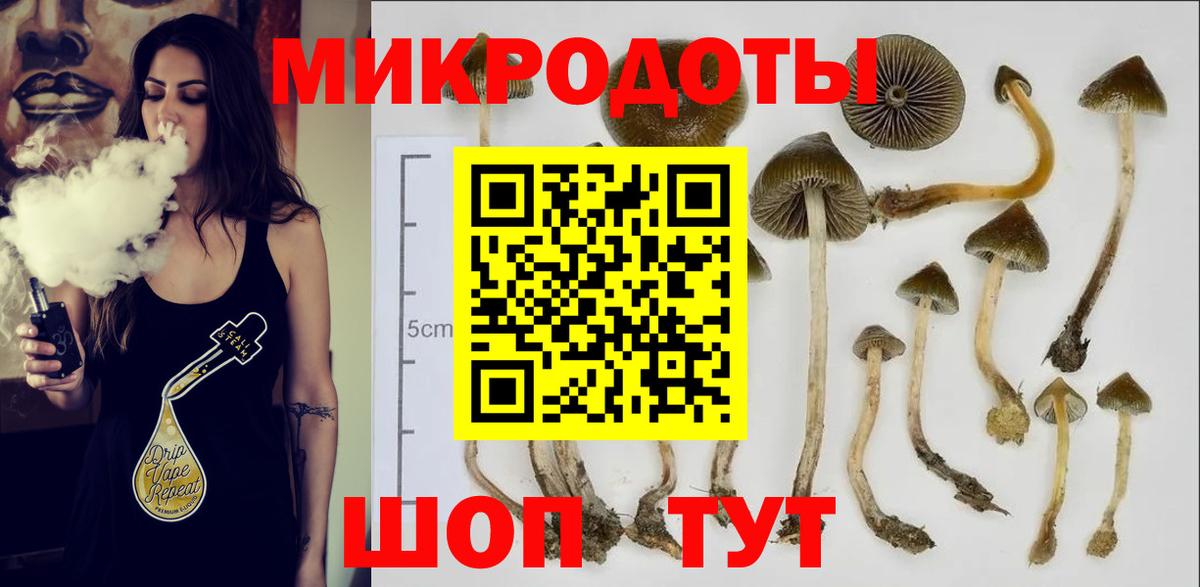 Псилоцибиновые грибы MAGIC MUSHROOMS  как найти закладки  Усолье-Сибирское  Вход с VPN  Псилоцибиновые грибы ЛСД 